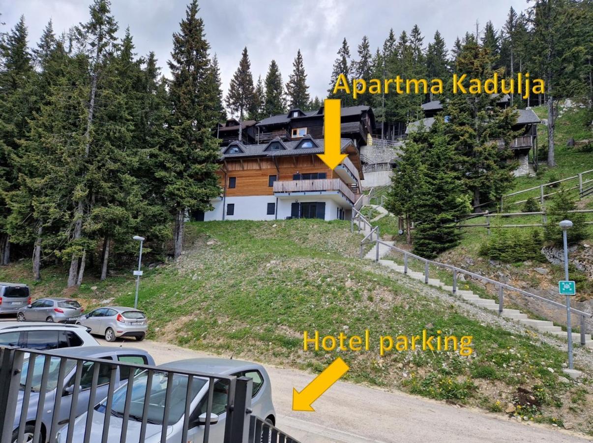Apartment Apartma Kadulja Golte Mozirje